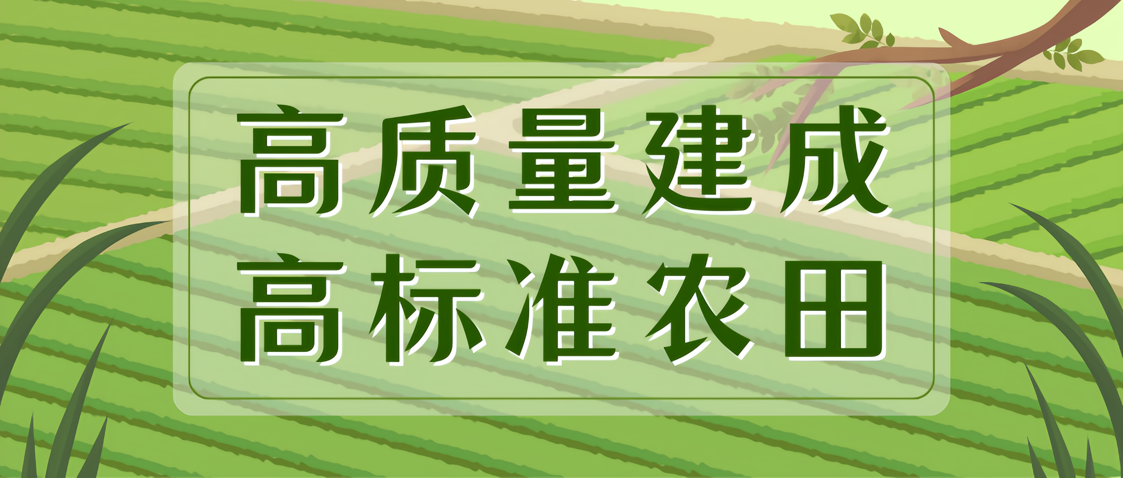高质量建成高标准农田